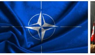 Everything about NATO